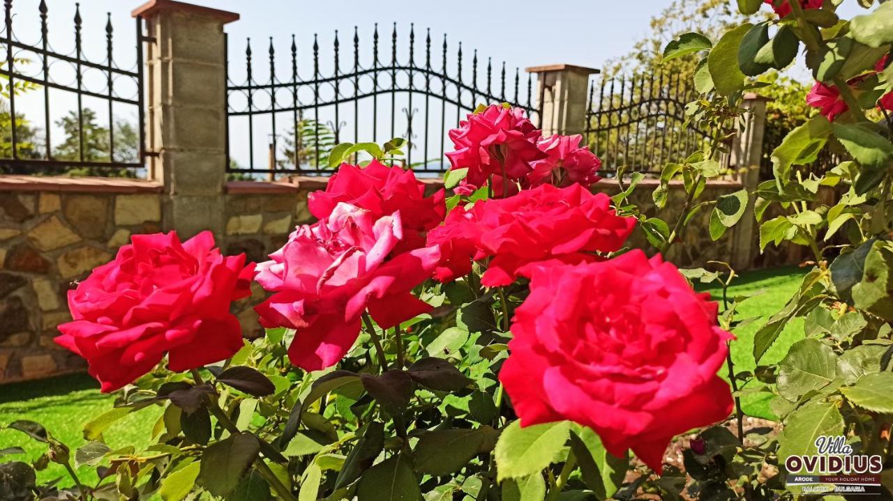 Arode Villa Ovidius Balchik Exterior foto